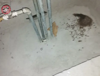 平遥卫生间测漏水价格明细