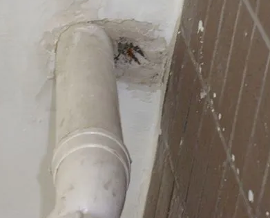 平遥漏水检测哪家好